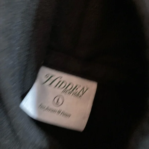 Hidden Koi HOODIE